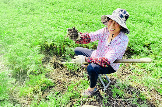 川穹基地_什邡市岐辉农业有限公司【官网】,什邡川芎