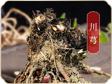 产品展示_什邡市岐辉农业有限公司【官网】,什邡川芎,彭什川芎现代农业产业园区企业