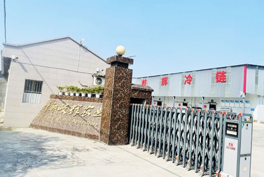 什邡市岐辉农业有限公司【官网】,什邡川芎,彭什川芎现代农业产业园区企业