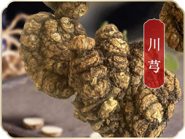 产品展示_什邡市岐辉农业有限公司【官网】,什邡川芎,彭什川芎现代农业产业园区企业