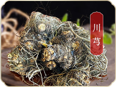 产品展示_什邡市岐辉农业有限公司【官网】,什邡川芎,彭什川芎现代农业产业园区企业